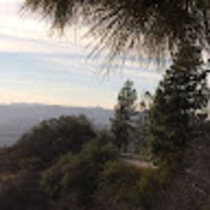 Meet your Posher, Свет